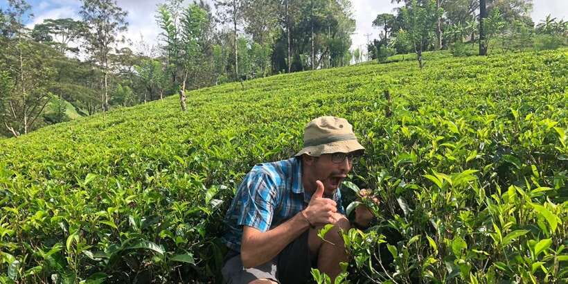 From Colombo: Virgin White Tea and Galle City Tour - Leaving Colombo at 8:00 AM