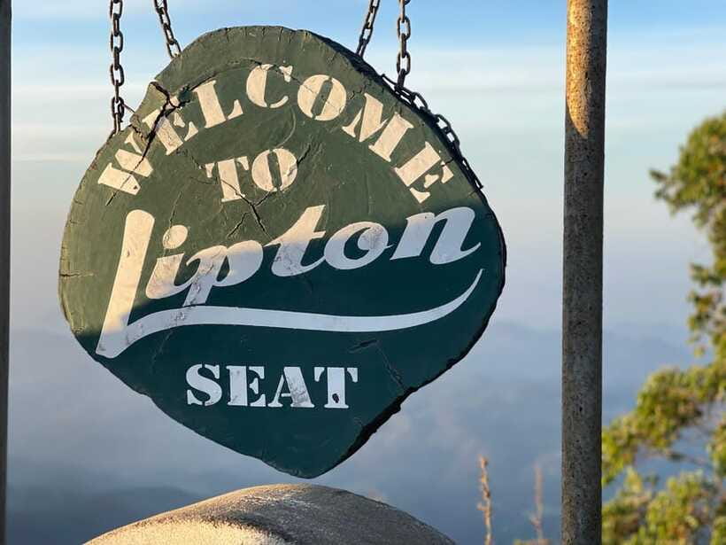From Ella: Lipton Seat & Dambatenne Tea Factory Day Tour - The route through Ella’s tea country