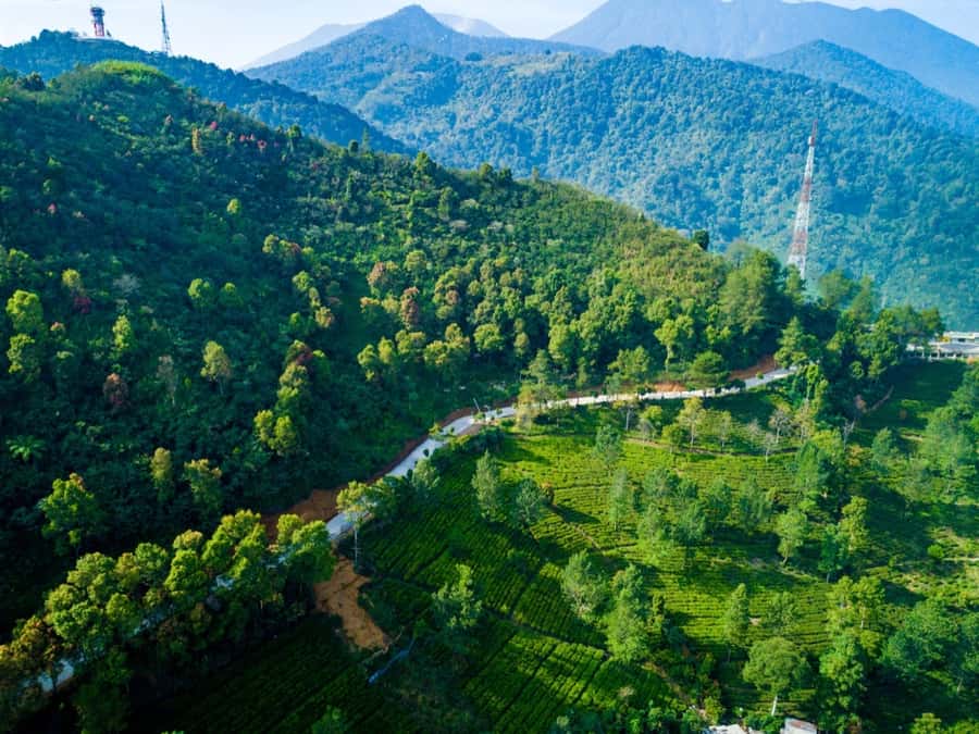 From Jakarta: Safari Park, Tea Plantation & Jaksa Waterfall - Key points before you book