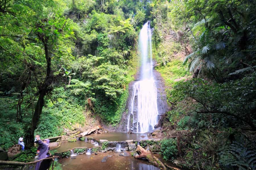 From Jakarta: Safari Park, Tea Plantation & Jaksa Waterfall - Taman Safari Bogor: the day’s main attraction