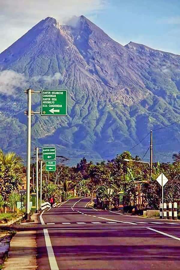 From Jakarta : Volcano, Tea & Rice Fields, Hot Spring - Tea plants on the volcanic slopes