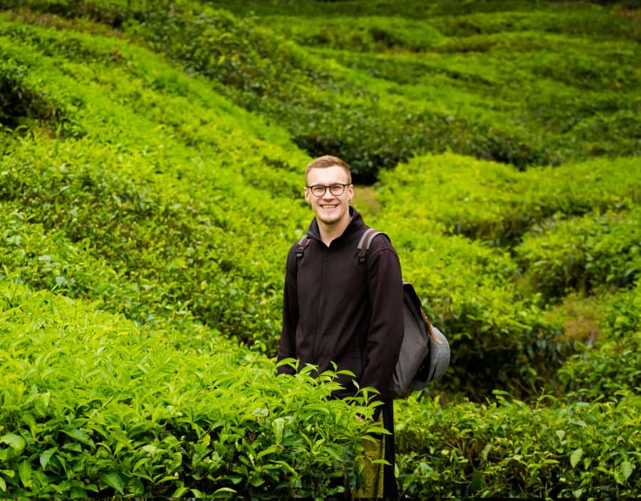 From KL: Cameron Highlands with BOH Habu & Sungei Tea Visit - BOH Habu and the tea-making process