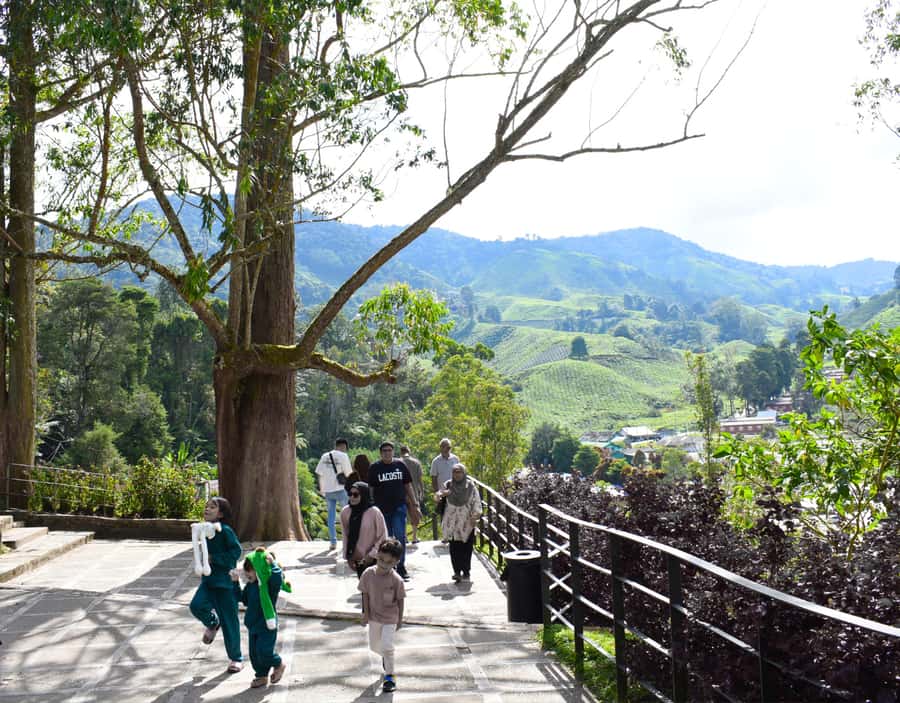 From KL: Cameron Highlands with BOH Habu & Sungei Tea Visit - Meeting the Orang Asli community