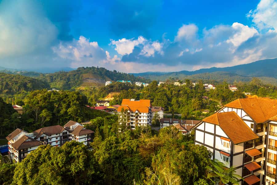 From KL: Cameron Highlands with BOH Habu & Sungei Tea Visit - The final cup at BOH Sungai Palas