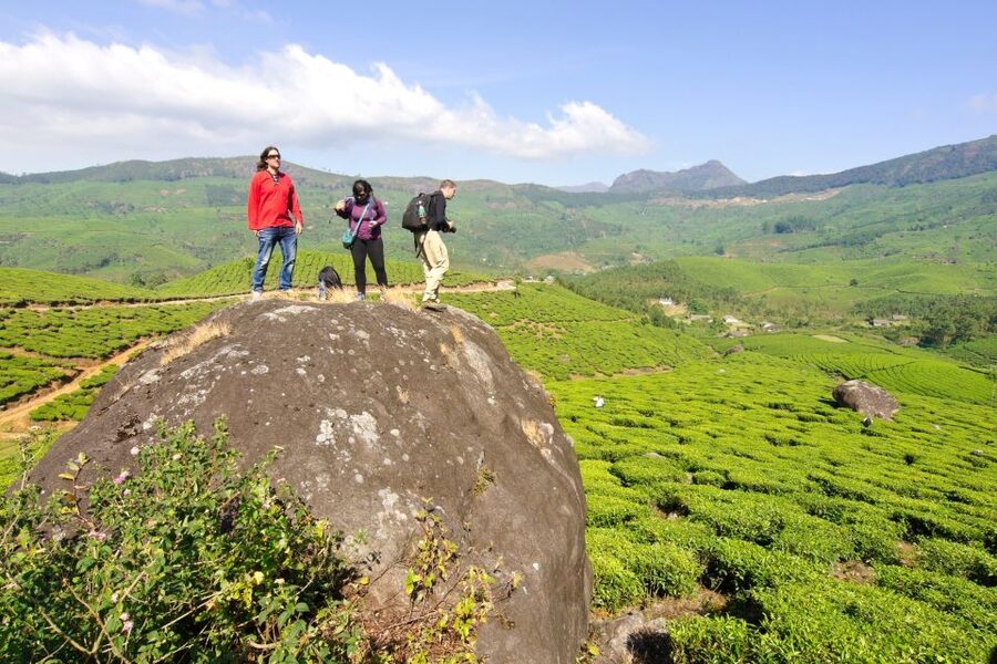 From Kochi: Munnar & Tea Museum Private Guided Tour - Breakfast with mountain views, with one important catch