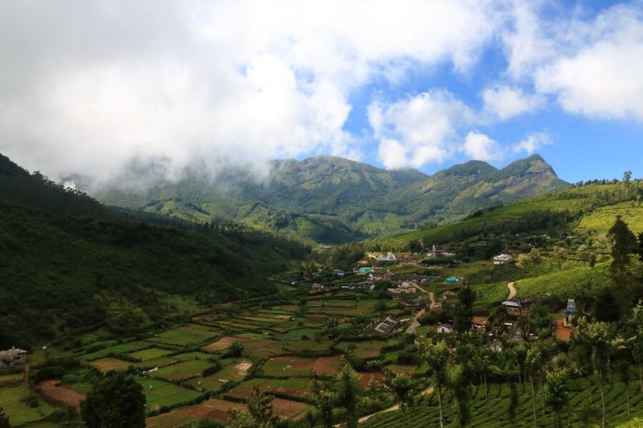 From Kochi: Munnar & Tea Museum Private Guided Tour - A final spice plantation stop