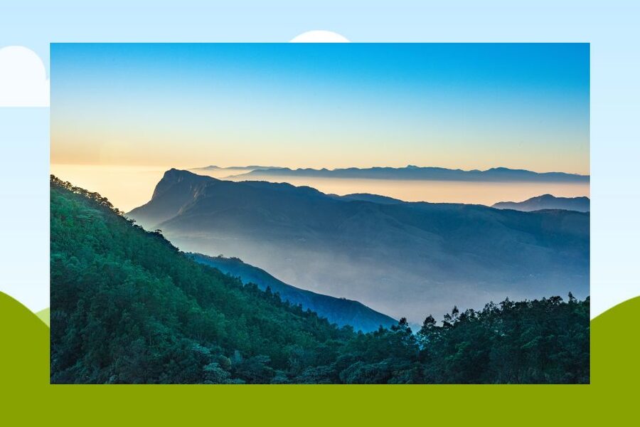 From Kochi: Munnar & Tea Museum Private Guided Tour - Is $220 a fair price for a private day?