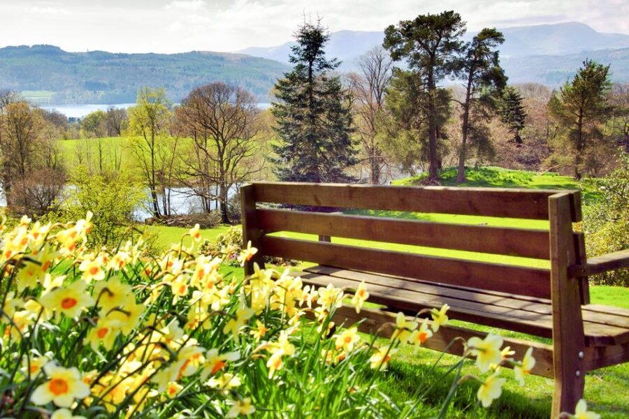 From London: Lake District Tour with Cream Tea & Cruise - Langdale Valley and the shape of the fells