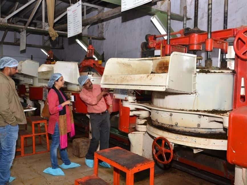 From Munnar: Tea Factory, Plantation, and National Park Tour - Key points at a glance