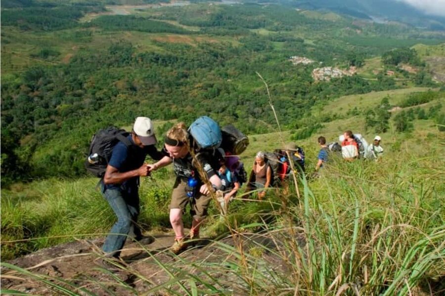 From Munnar: Tea Factory, Plantation, and National Park Tour - Why this Munnar day trip works