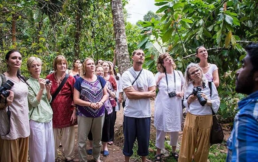 From Munnar: Tea Factory, Plantation, and National Park Tour - Starting from Munnar at 8:00 AM