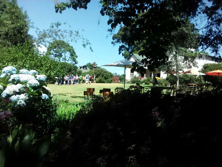From Nairobi: Kiambethu Tea Farm Tour & Lunch - Who will get the most from Kiambethu