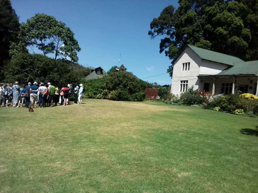 From Nairobi: Kiambethu Tea Farm Tour & Lunch - Price, timing, and practical value
