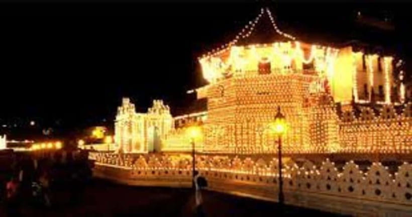 From Negombo : Pinnawala & Tea Factory & Kandy Full Day Trip - Royal Botanical Garden: allow your best time here