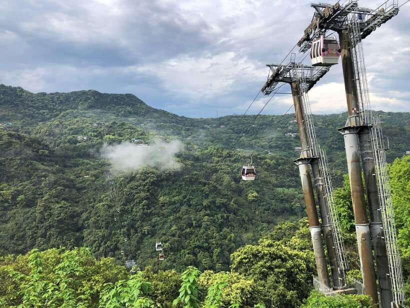 From Taipei: Pinglin Tea Culture and Maokong Guided Day Tour - What this tea-country day trip is really about