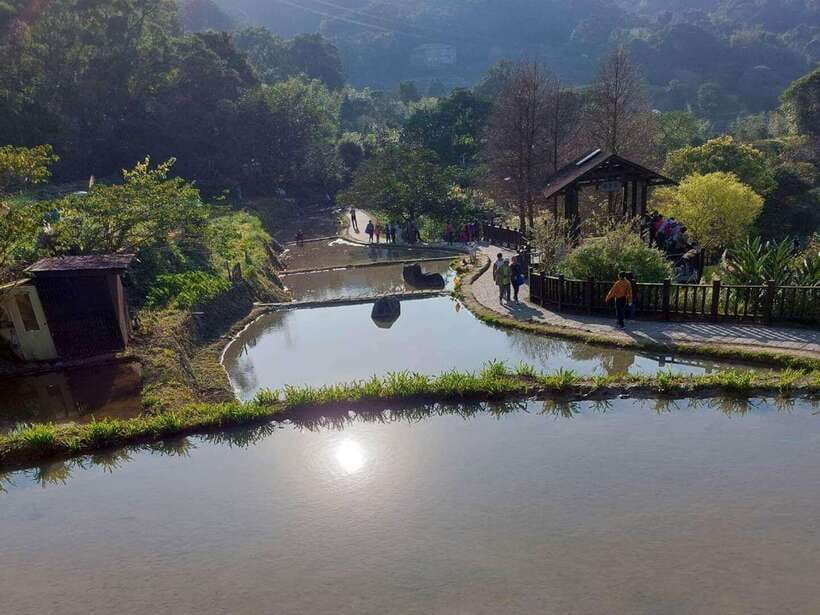 From Taipei: Pinglin Tea Culture and Maokong Guided Day Tour - Walking the Zhangshu and Tea Fragrance trails
