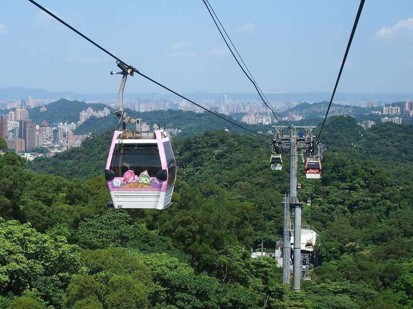 From Taipei: Pinglin Tea Culture and Maokong Guided Day Tour - Taipei Tea Promotion Center and Maokong lunch