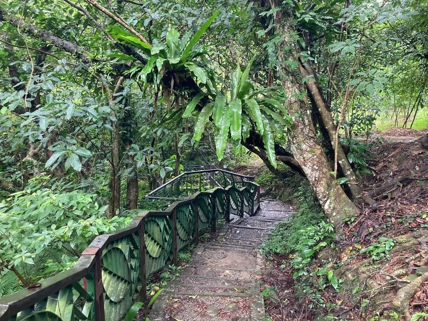 From Taipei: Pinglin Tea Culture and Maokong Guided Day Tour - Thousand Island Lake in Shiding