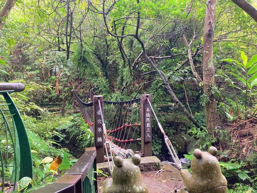 From Taipei: Pinglin Tea Culture and Maokong Guided Day Tour - Pinglin Tea Plantation and the tea museum