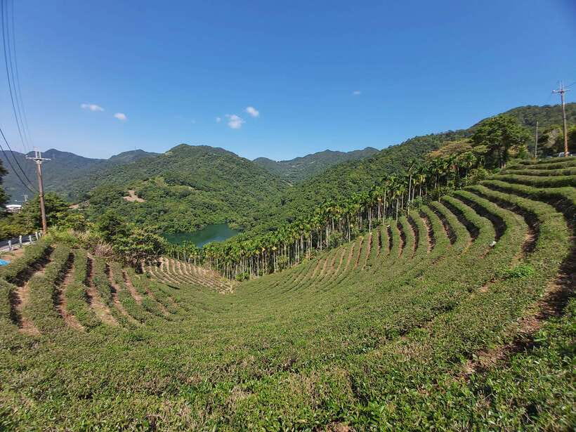 From Taipei: Thousand Island Lake and Pinglin Tea Plantation - Key points at a glance