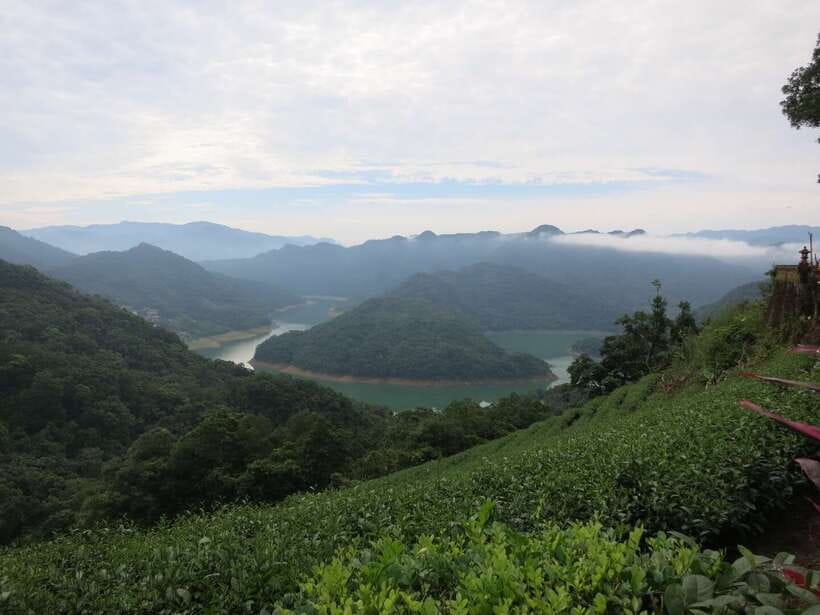 From Taipei: Thousand Island Lake and Pinglin Tea Plantation - Languages, weather, and the right expectations