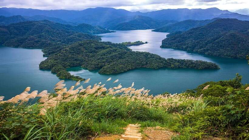 From Taipei: Thousand-Island Lake & Tea Museum Private Tour - The local tea house stop