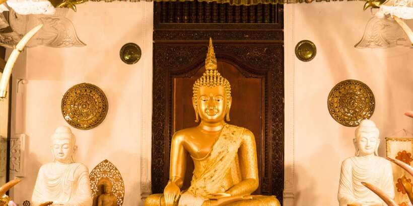 From west coast: Kandy, Tooth temple, Botanical & Tea garden - Peradeniya Royal Botanical Garden