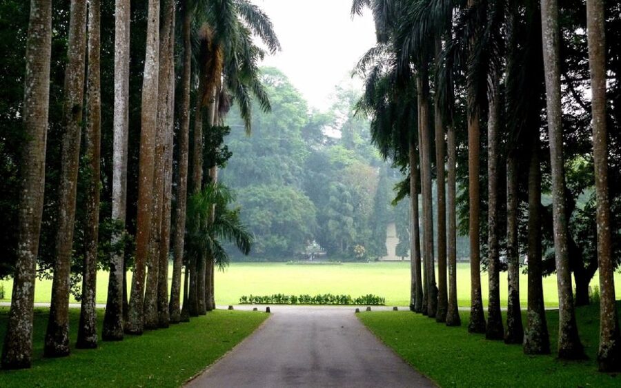 From west coast: Kandy, Tooth temple, Botanical & Tea garden - Kandy lake, temples, churches, and city time