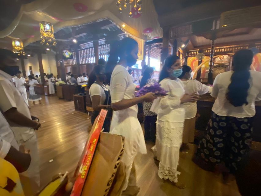 From west coast: Kandy, Tooth temple, Botanical & Tea garden - What the $84 price really covers