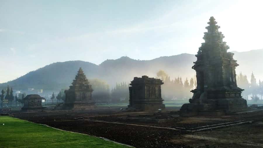 From Yogyakarta: Dieng Tour, Golden Sunrise & Tea Plantation - Key points to know before booking