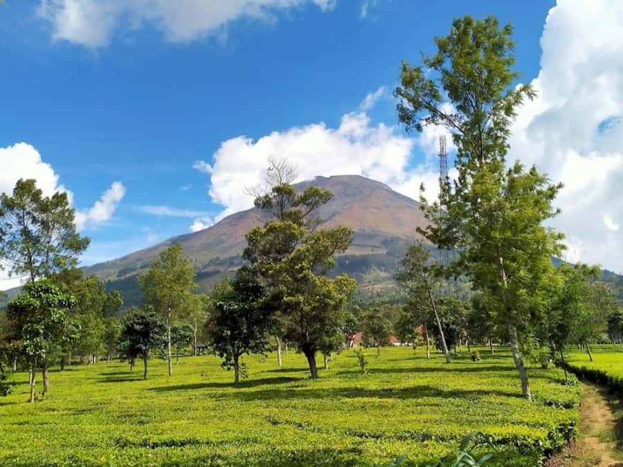 From Yogyakarta: Dieng Tour, Golden Sunrise & Tea Plantation - Batu Pandang Ratapan Angin and the colored lake
