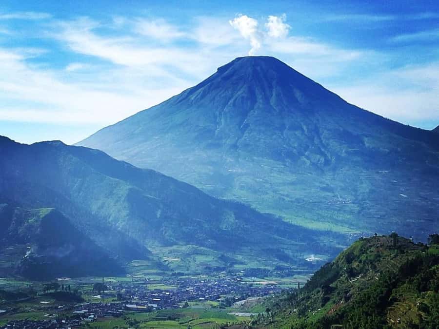 From Yogyakarta: Dieng Tour, Golden Sunrise & Tea Plantation - Who should book this Dieng day trip