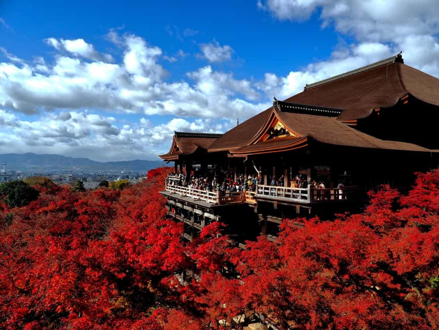 FromOsaka:KatsuojiTemple,Kiyomizudera,Arashiyama,Matcha - Key points to know before booking