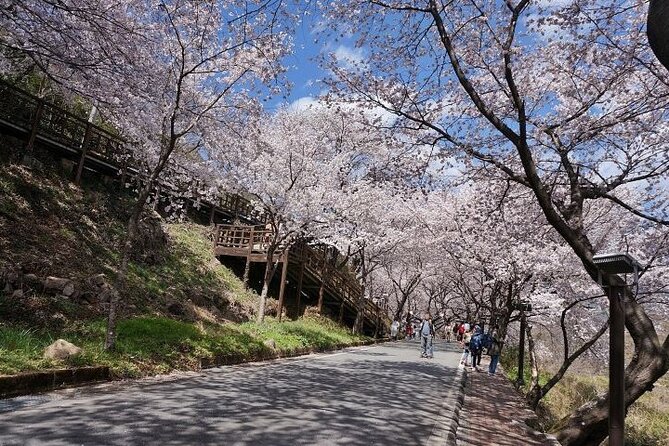 Full-day Hadong, Gwangyang, Cherry blossom, Green Tea Fields Private Tour - Gwangyang Bulgogi Alley for the final meal