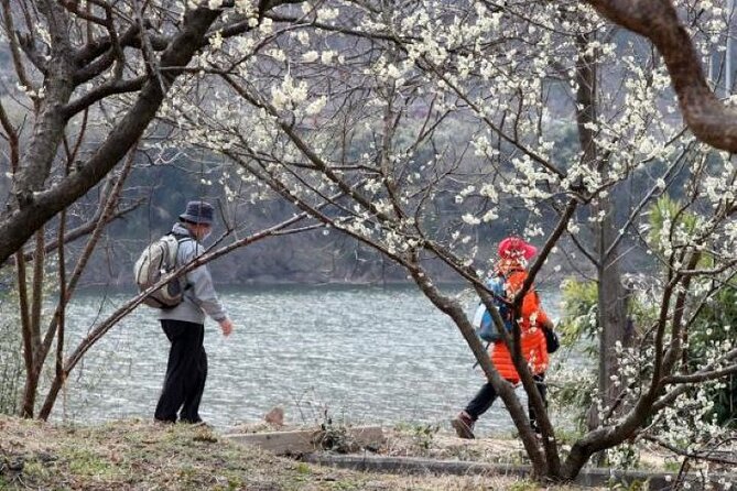 Full-day Hadong, Gwangyang, Cherry blossom, Green Tea Fields Private Tour - Hwagae Market and the taste of a rural town