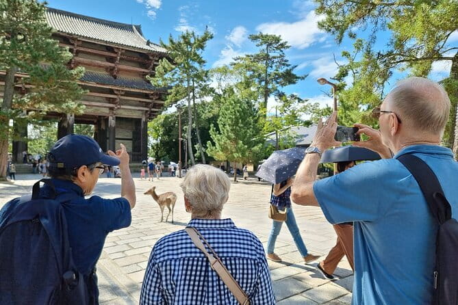 Full Day Nara Deer, Temple, Shrine, Activities & Tea Ceremony - Lunch near Higashimuki Shopping Street