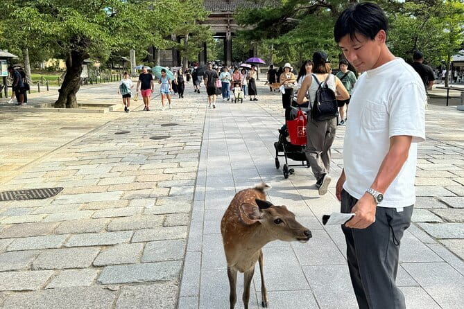Full Day Nara Deer, Temple, Shrine, Activities & Tea Ceremony - Origami and calligraphy give you something to carry home