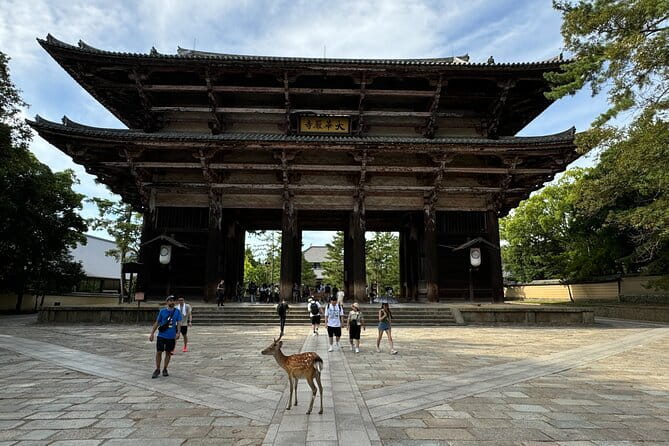 Full Day Nara Deer, Temple, Shrine, Activities & Tea Ceremony - Gangoji and the demon of the old temple