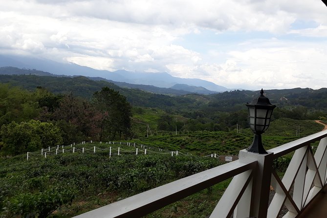 Full Day Sabah Tea Plantation & WWII Memorial - Arriving at the Kundasang War Memorial