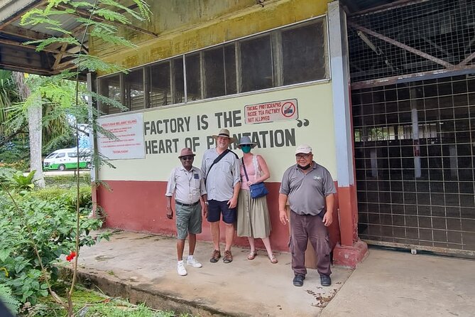 Full Day Sabah Tea Plantation & WWII Memorial - Who will enjoy this Sabah day trip?