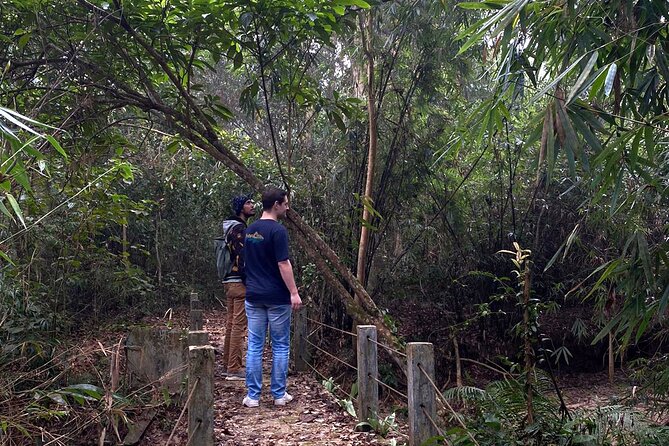 Full Day Sreemangal Tea Garden & National Park Hiking Tour - Why this Sreemangal day works so well