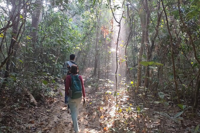 Full Day Sreemangal Tea Garden & National Park Hiking Tour - Meeting the Khashia community on the hill