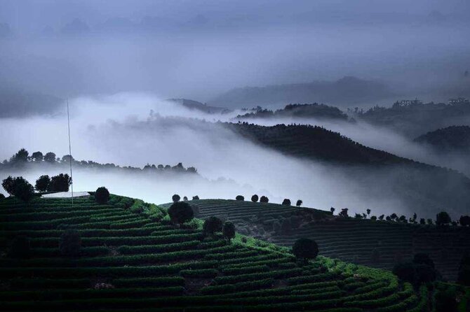 Full-day Tour: Spectacular Sunrise, Tea Plantation & Sunset - What the $175 price really covers