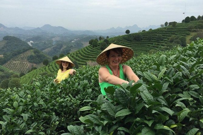 Full-day Tour: Spectacular Sunrise, Tea Plantation & Sunset - Should you book this Yangshuo sunrise and sunset tour?