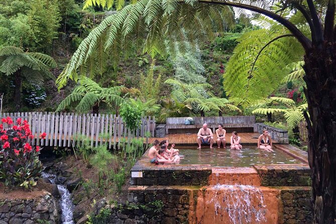Furnas in a Private Evening - Tea, Cozido Dinner and Hot Springs - Gorreana Tea Plantation starts the evening
