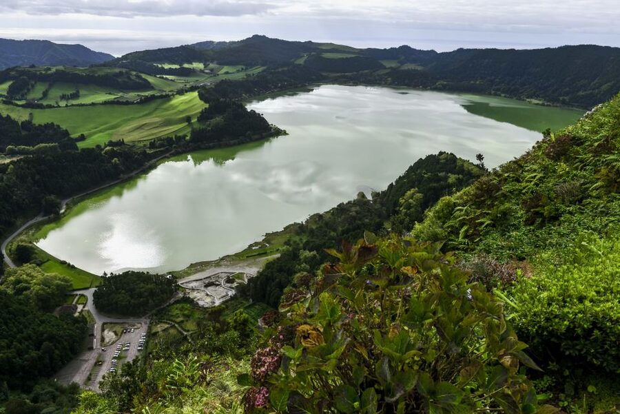 Furnas: Tea Plantations, Lake and Volcano Guided Tour - Starting in Ponta Delgada at 8:45 a.m.