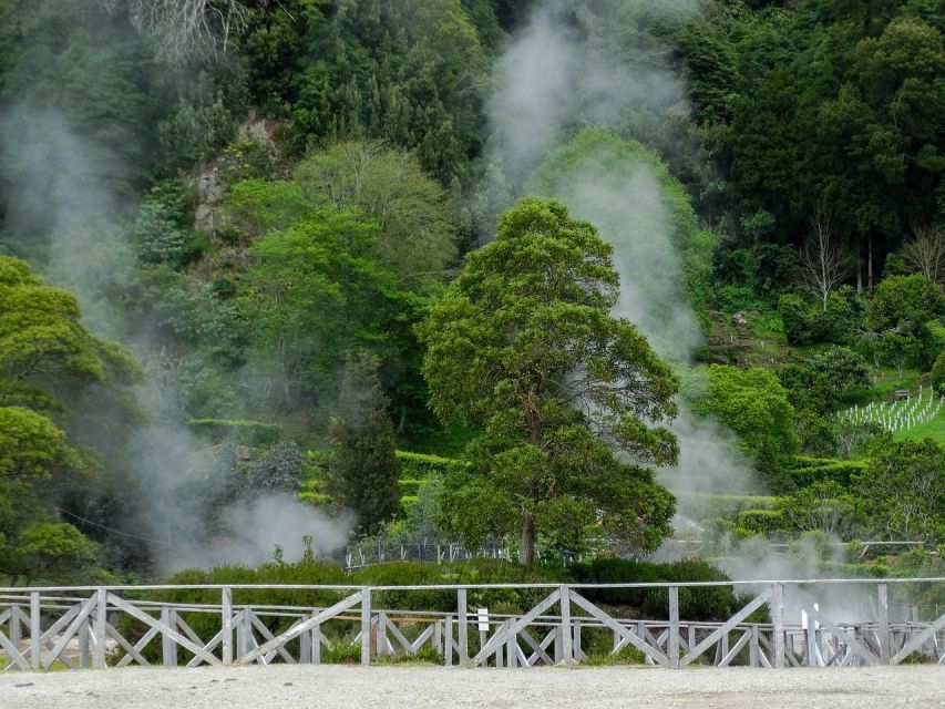 Furnas: Thermal Springs & Tea Plantation Day Tour with Lunch - Terra Nostra Park: garden time with a hot-water reward
