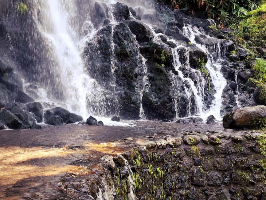 Furnas: Volcano Wonders, Tea Plantation & Waterfall Tour - Why this east São Miguel tour works well