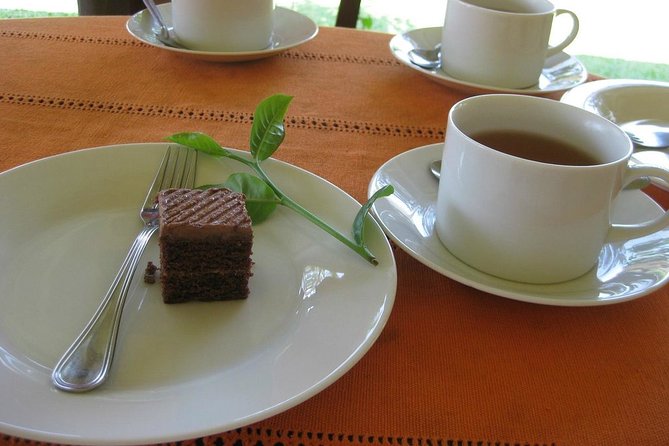Galle Day Tour and Tea Plantation from Bentota & Other Places - Jungle Beach: pretty, quiet, and not a full beach day