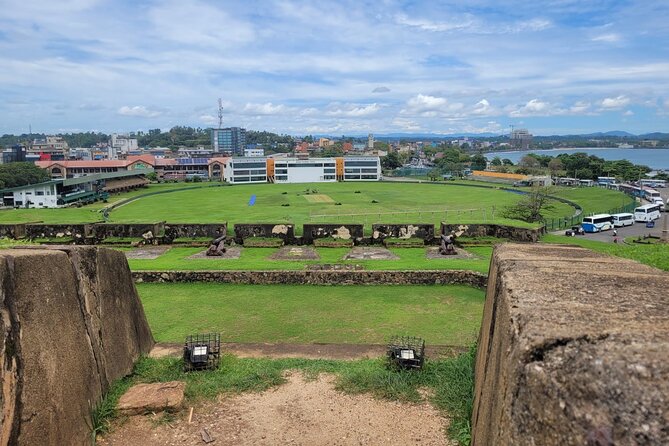 Galle Day Tour with River Safari, Tea Plantation & Sea Turtle - Who Will Enjoy This Tour Most